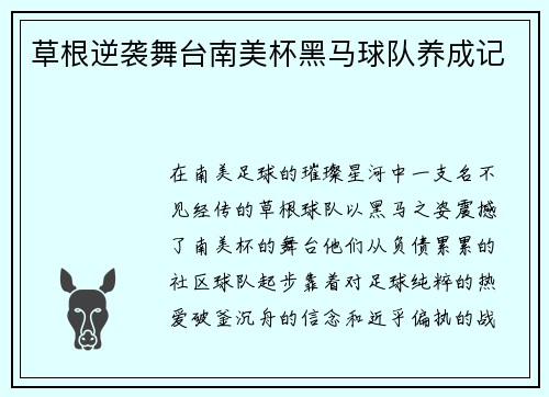 草根逆袭舞台南美杯黑马球队养成记